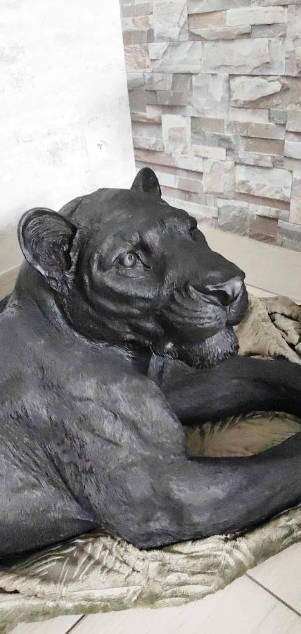 Zoologite 圣艾尼昂 外观 照片